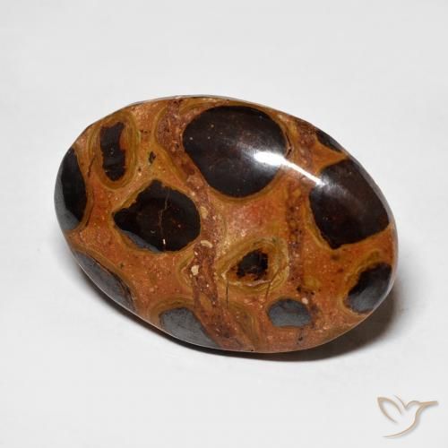 Jaspe Multicolore naturelle ovale, 16.68 ct, Opaque
