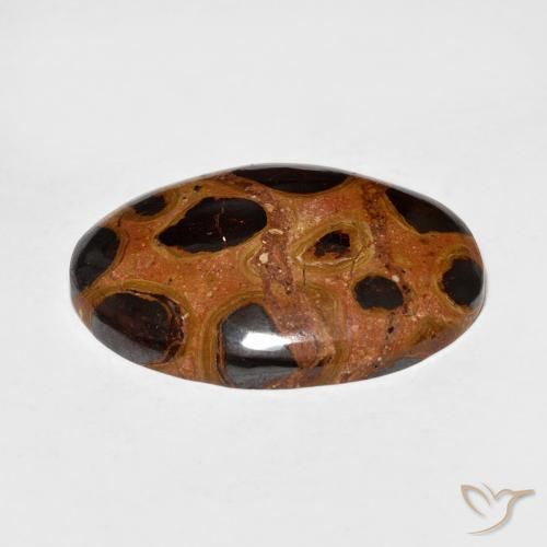 Jaspe Multicolore naturelle ovale, 16.68 ct, Opaque