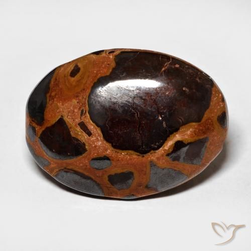 13.64ct Naturel Multicolore Jaspe, ovale, Opaque