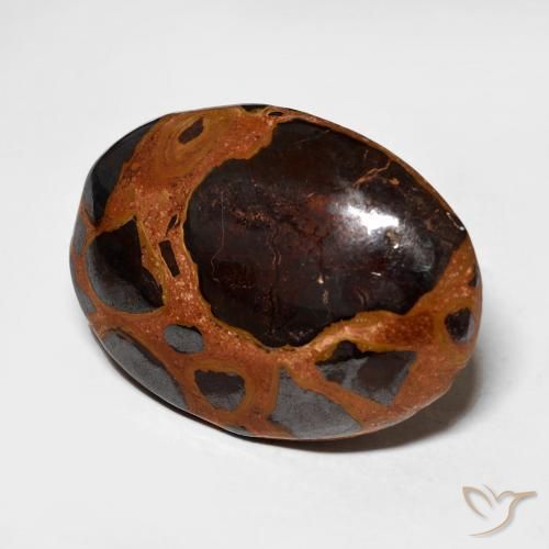 Jaspe Multicolore naturelle ovale, 13.64 ct, Opaque