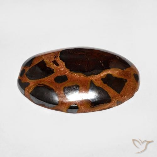 Jaspe Multicolore naturelle ovale, 13.64 ct, Opaque