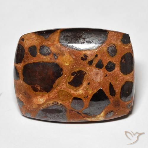 19.46ct Naturel Multicolore Jaspe, Coussin, Opaque
