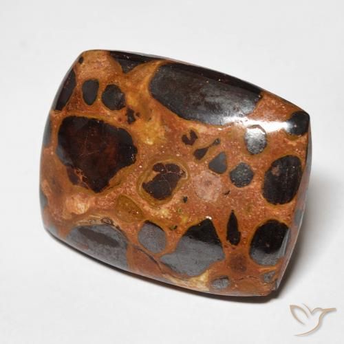 Jaspe Multicolore naturelle Coussin, 19.46 ct, Opaque