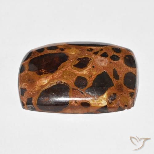 Jaspe Multicolore naturelle Coussin, 19.46 ct, Opaque