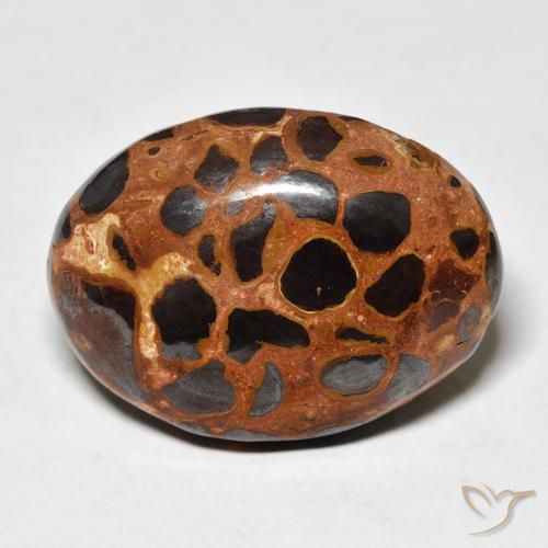 25.43ct Naturel Multicolore Jaspe, ovale, Opaque