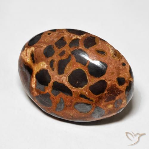 Jaspe Multicolore naturelle ovale, 25.43 ct, Opaque