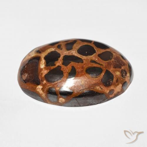 Jaspe Multicolore naturelle ovale, 25.43 ct, Opaque