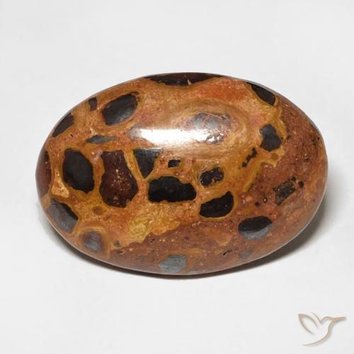 13.09ct Naturel Multicolore Jaspe, ovale, Opaque