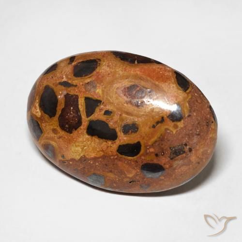 Jaspe Multicolore naturelle ovale, 13.09 ct, Opaque