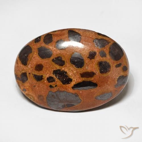 17.25ct Naturel Multicolore Jaspe, ovale, Opaque