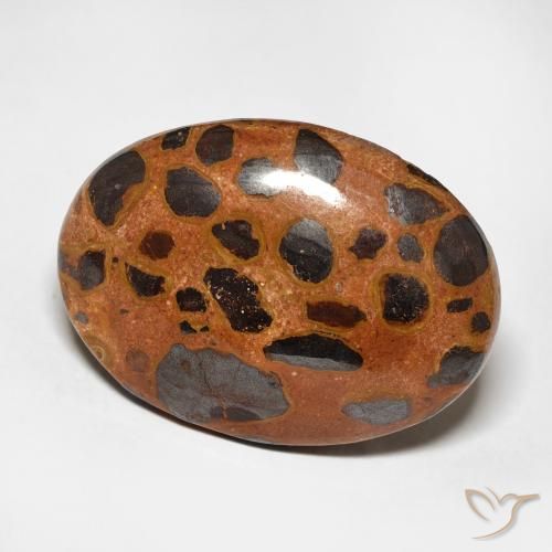 Jaspe Multicolore naturelle ovale, 17.25 ct, Opaque