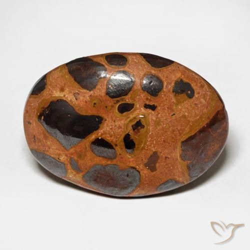 17.08ct Naturel Multicolore Jaspe, ovale, Opaque