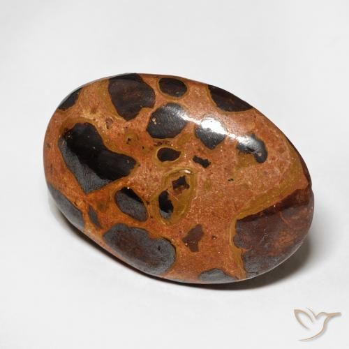 Jaspe Multicolore naturelle ovale, 17.08 ct, Opaque