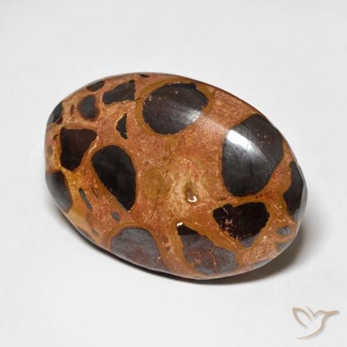 Jaspe Multicolore naturelle ovale, 17.65 ct, Opaque