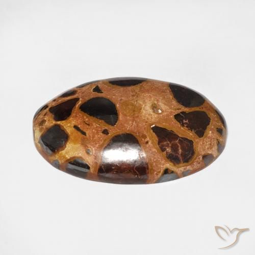 Jaspe Multicolore naturelle ovale, 17.65 ct, Opaque