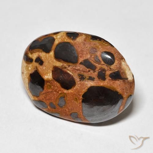 Jaspe Multicolore naturelle ovale, 15.22 ct, Opaque