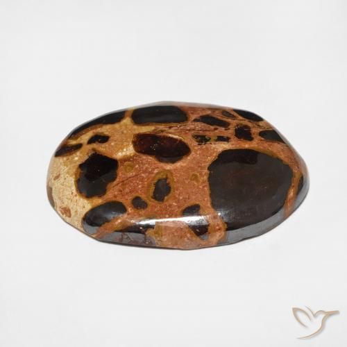 Jaspe Multicolore naturelle ovale, 15.22 ct, Opaque