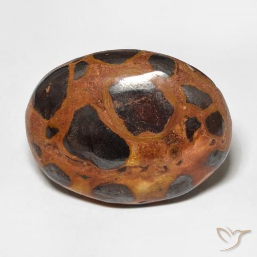 17.65ct Naturel Multicolore Jaspe, ovale, Opaque