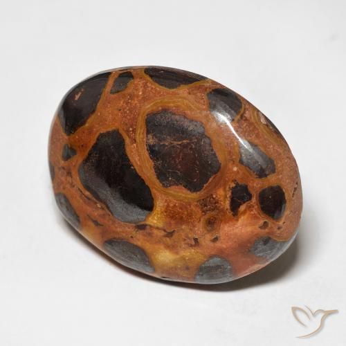 Jaspe Multicolore naturelle ovale, 17.65 ct, Opaque