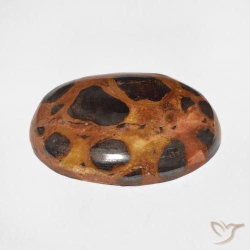 Jaspe Multicolore naturelle ovale, 17.65 ct, Opaque