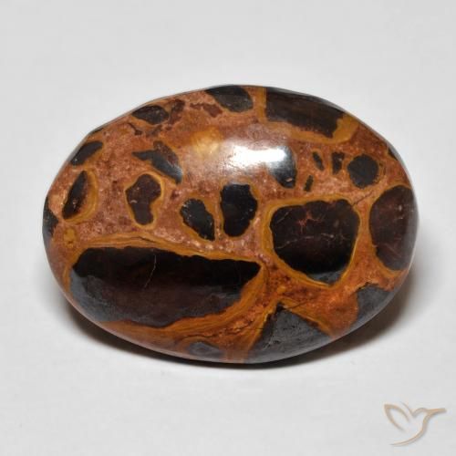17.26ct Naturel Multicolore Jaspe, ovale, Opaque