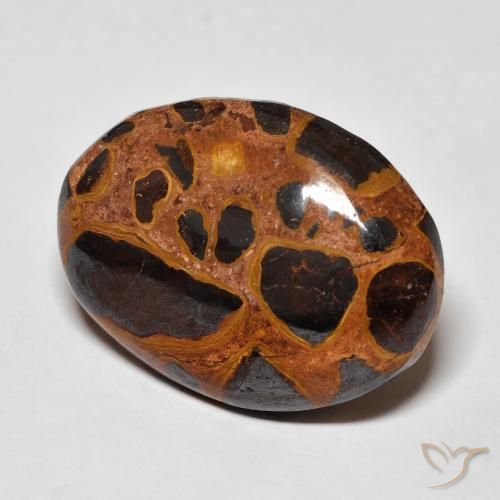 Jaspe Multicolore naturelle ovale, 17.26 ct, Opaque