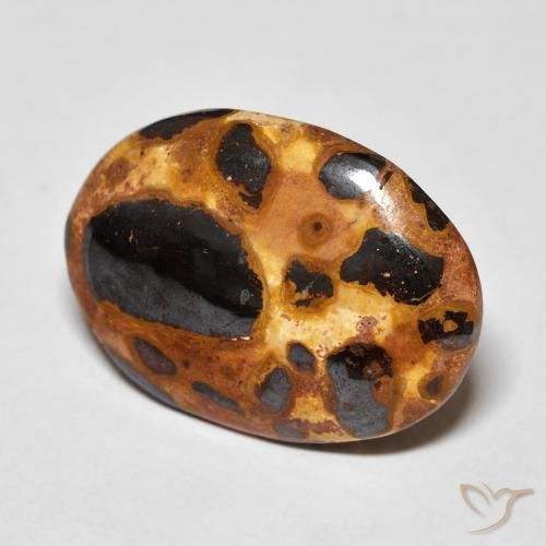 Jaspe Multicolore naturelle ovale, 12.26 ct, Opaque