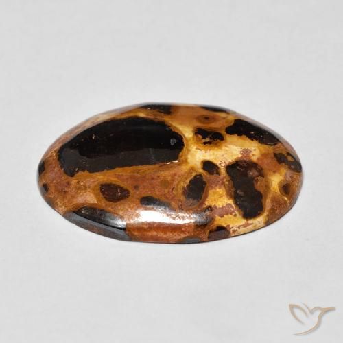 Jaspe Multicolore naturelle ovale, 12.26 ct, Opaque