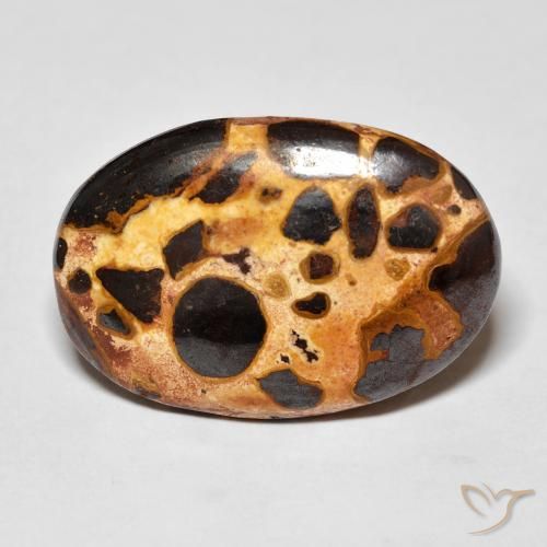 16.03ct Naturel Multicolore Jaspe, ovale, Opaque