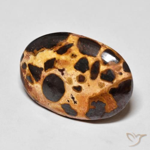 Jaspe Multicolore naturelle ovale, 16.03 ct, Opaque