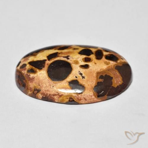 Jaspe Multicolore naturelle ovale, 16.03 ct, Opaque