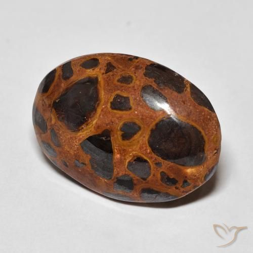 Jaspe Multicolore naturelle ovale, 13.01 ct, Opaque