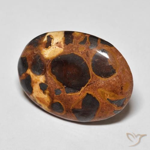 Jaspe Multicolore naturelle ovale, 14.20 ct, Opaque