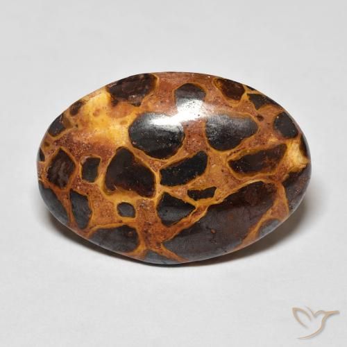 13.57ct Naturel Multicolore Jaspe, ovale, Opaque