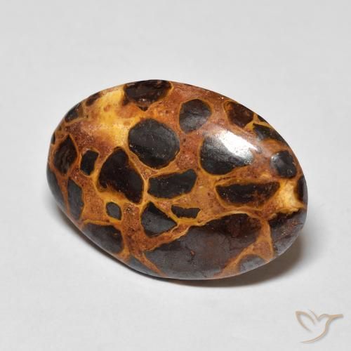 Jaspe Multicolore naturelle ovale, 13.57 ct, Opaque