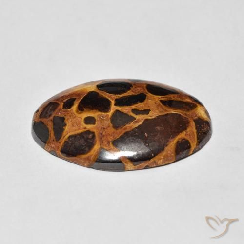 Jaspe Multicolore naturelle ovale, 13.57 ct, Opaque