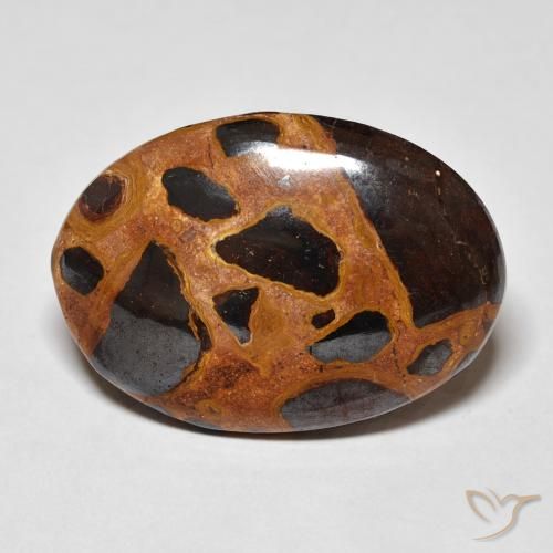 18.67ct Naturel Multicolore Jaspe, ovale, Opaque