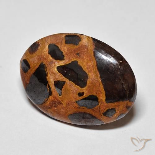 Jaspe Multicolore naturelle ovale, 18.67 ct, Opaque