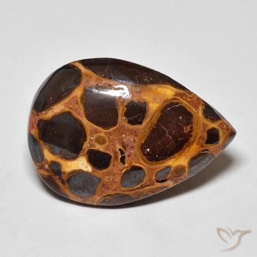 Jaspe Multicolore naturelle En forme de poire, 11.12 ct, Opaque