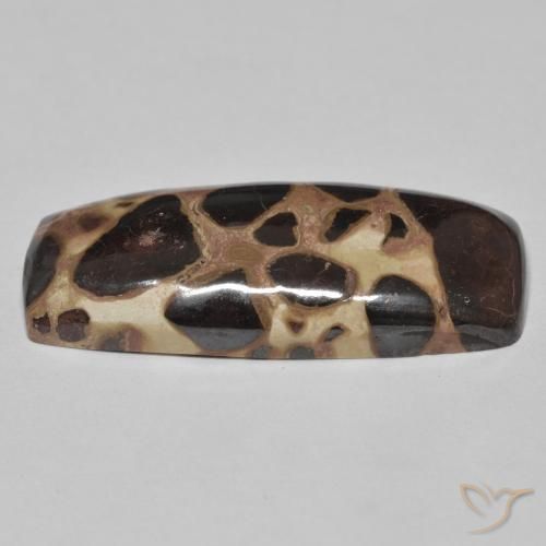 Jaspe Multicolore naturelle Coussin, 19.09 ct, Opaque