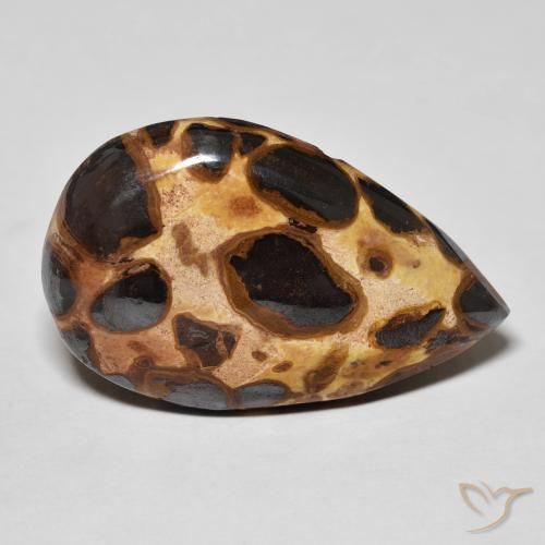 Jaspe Multicolore naturelle En forme de poire, 14.68 ct, Opaque