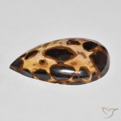 Jaspe Multicolore naturelle En forme de poire, 14.68 ct, Opaque