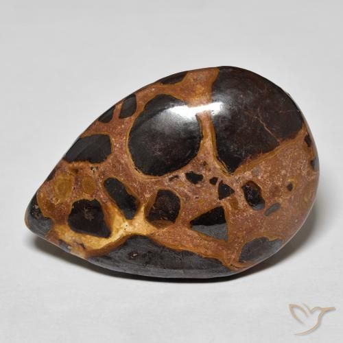 20.87ct Naturel Multicolore Jaspe, En forme de poire, Opaque