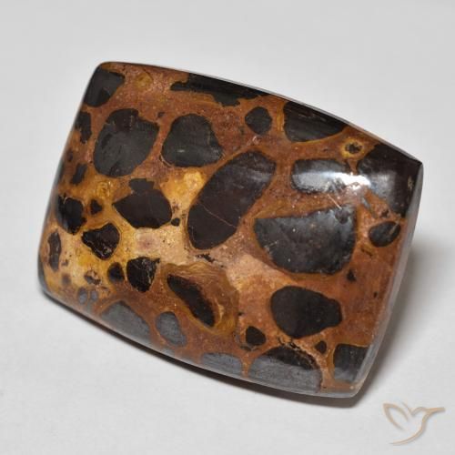 Jaspe Multicolore naturelle Coussin, 42.68 ct, Opaque