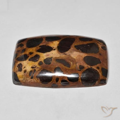 Jaspe Multicolore naturelle Coussin, 42.68 ct, Opaque