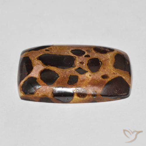 Jaspe Multicolore naturelle Coussin, 18.44 ct, Opaque