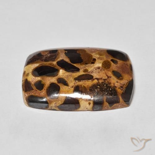 Jaspe Multicolore naturelle Coussin, 17.60 ct, Opaque