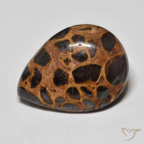 13.93ct Naturel Multicolore Jaspe, En forme de poire, Opaque