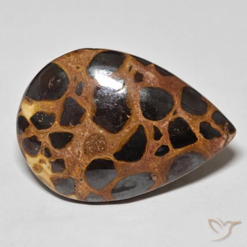 Jaspe Multicolore naturelle En forme de poire, 21.35 ct, Opaque