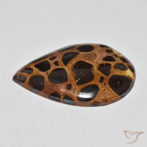 Jaspe Multicolore naturelle En forme de poire, 21.35 ct, Opaque